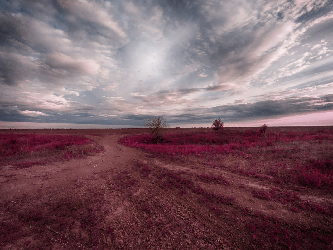 Пейзаж в инфракрасном свете - Dmitriy Predybailo