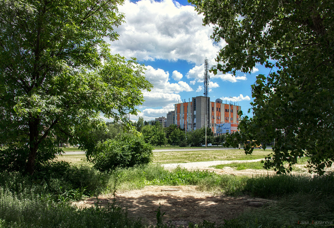 897 - Лана Лазарева