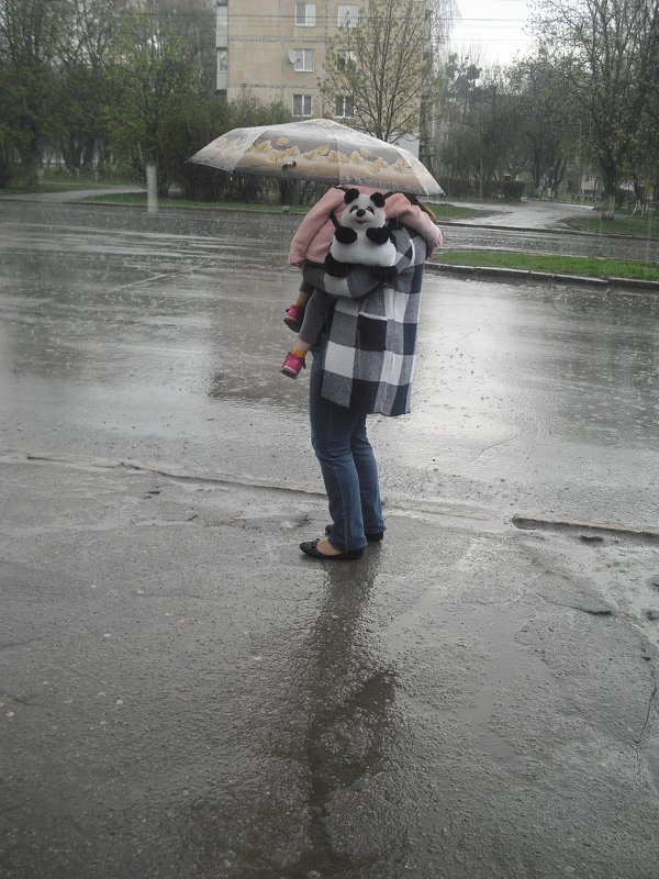 весенний дождь - Евгений Гузов