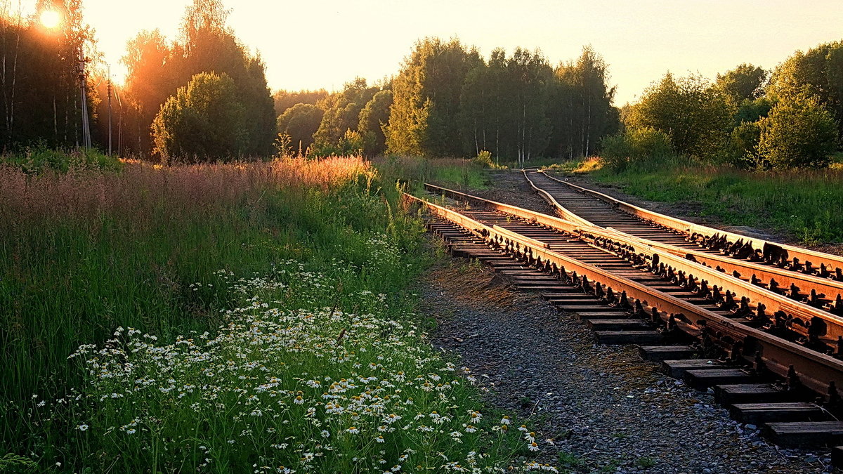 Старая железная дорога, в закатный час - Николай Белавин