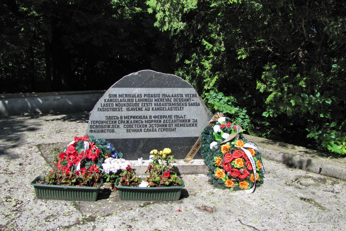 Памятник Мерикюласкому десанту под Нарва-Йыэcуу, Эстония - veera v