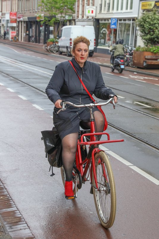Дама на велосипеде - Владимир Леликов