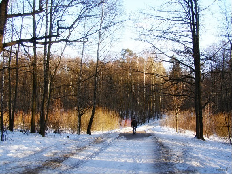 31.03.2011 - Анна Воробьева