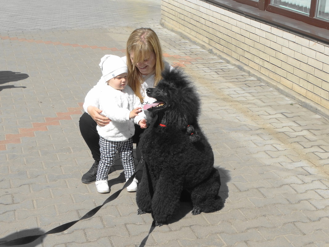 на улицах города - Михаил Жуковский