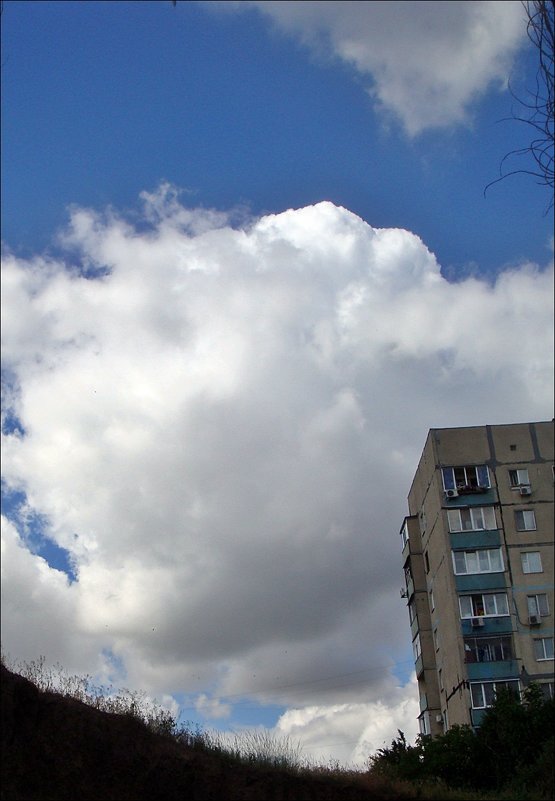 Ватное облако - Нина Корешкова