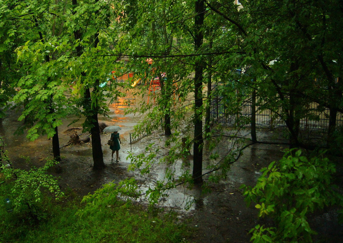 Дождливый день - Олег Пучков