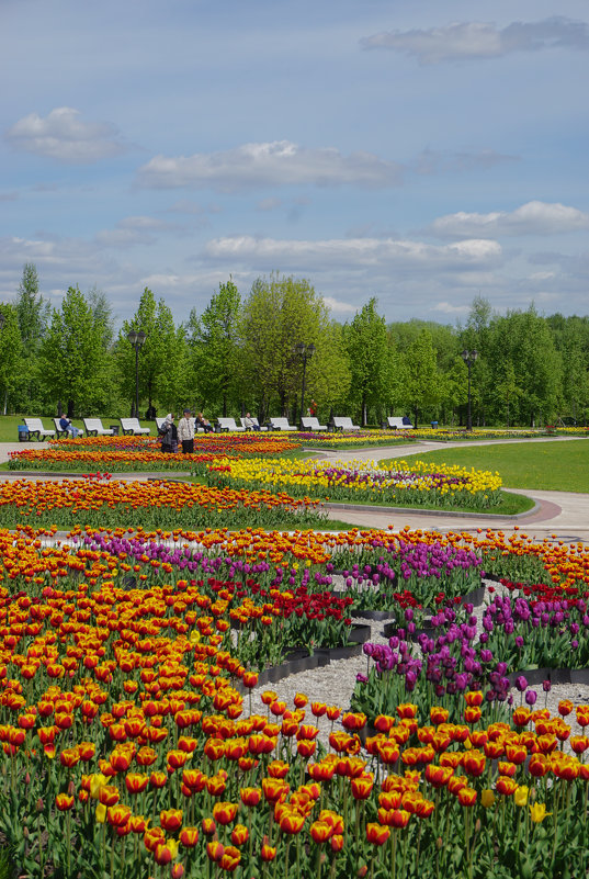 Весна в Царицыно - Ольга 