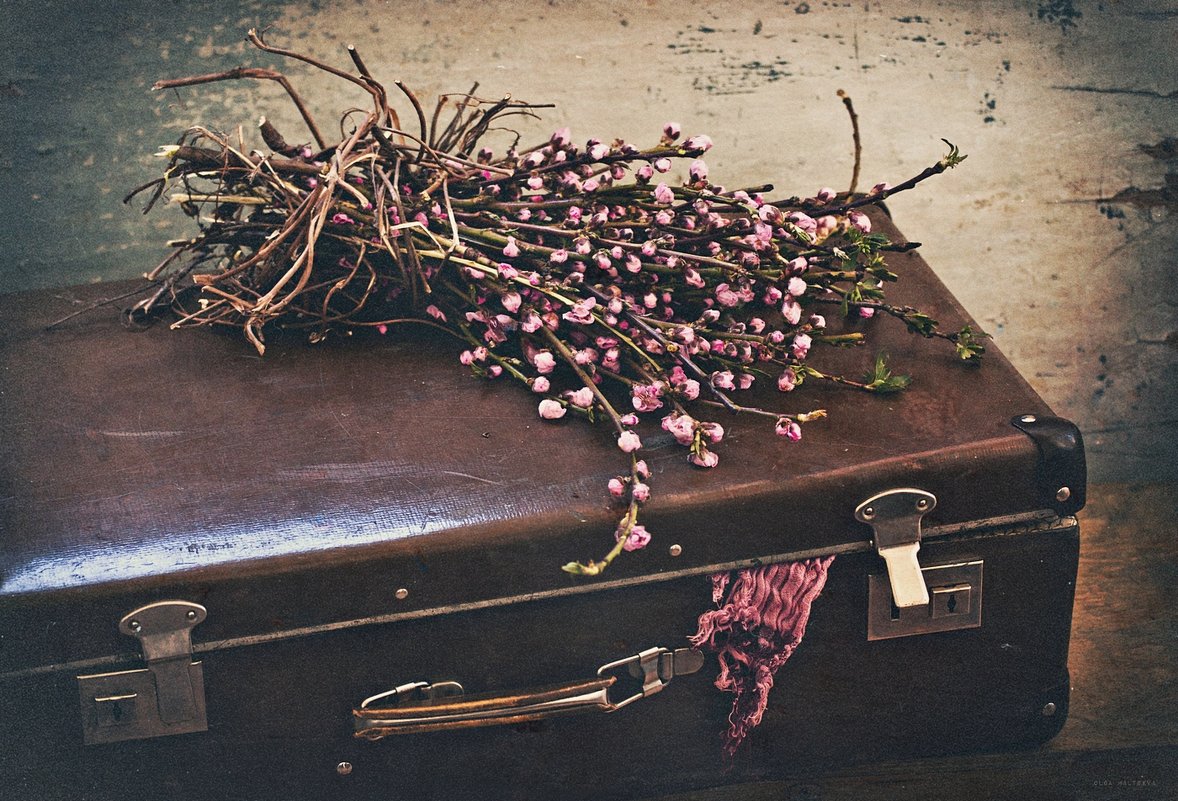 Собирает весна чемоданы - Ольга Мальцева