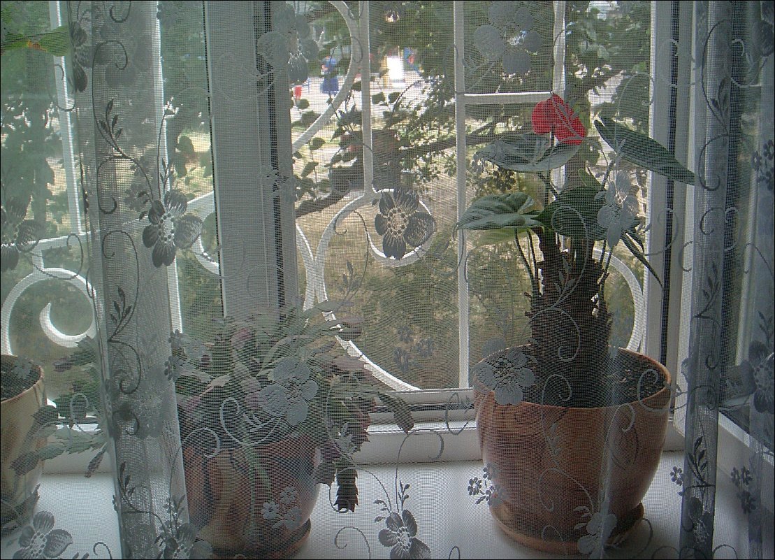 Летним днём у открытого окна - Нина Корешкова