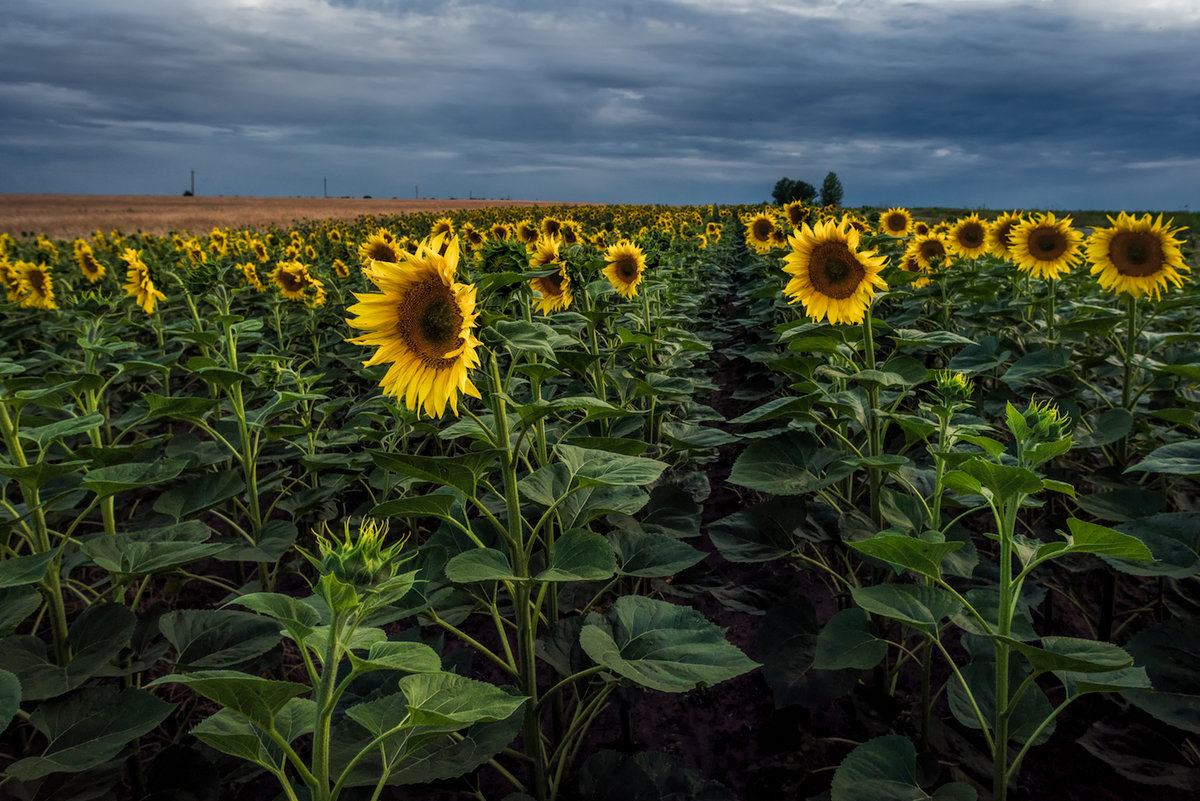 /// - Cлава Украине 