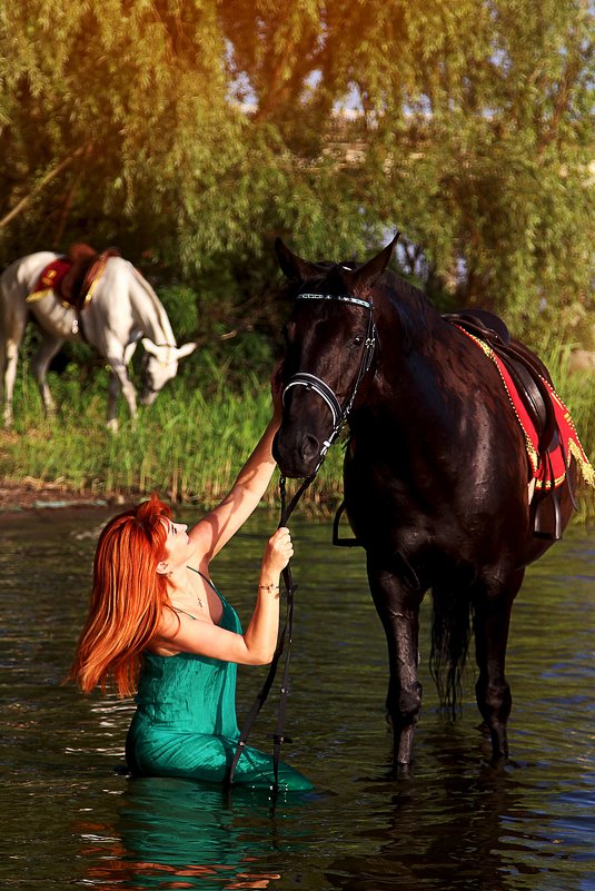 Фотопрогулка с лошадьми - Светлана Белкина