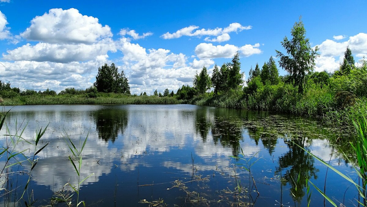 озера смоленской области