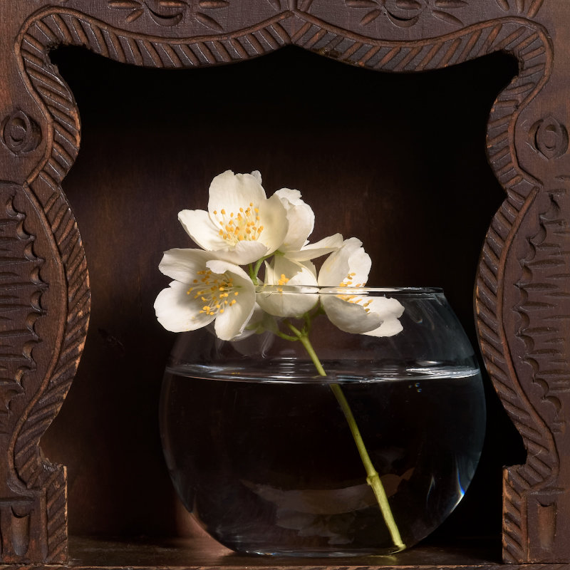 Цветочек в воде (в стекле (в дереве)) - Константин Косов
