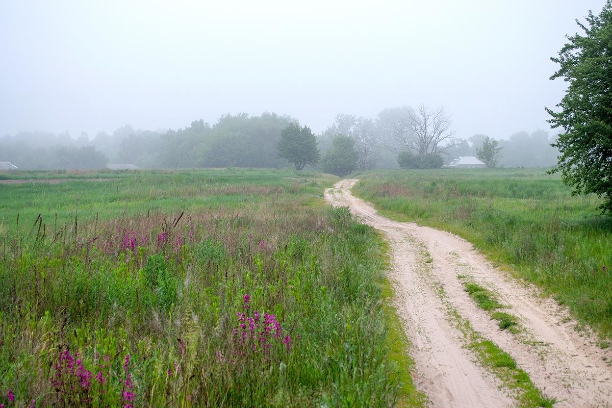 По дороге в село - Сергей Тарабара