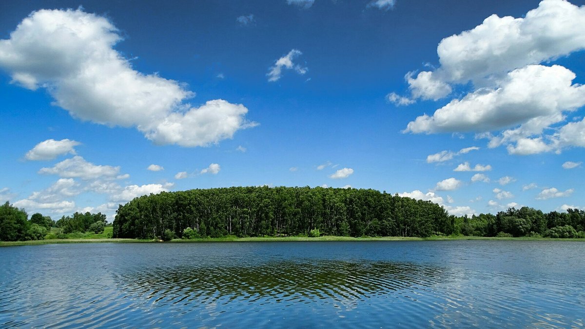 Кощино озеро Смоленск