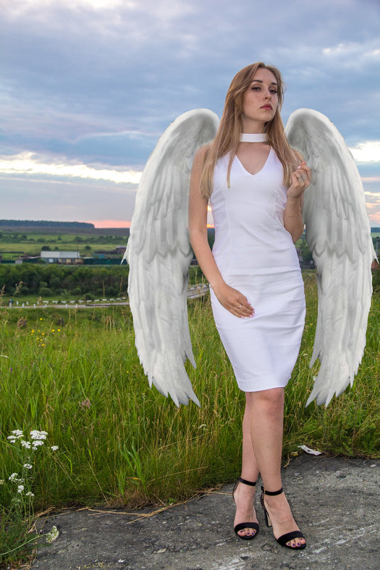 Девушка ангел - Владимир Притчин