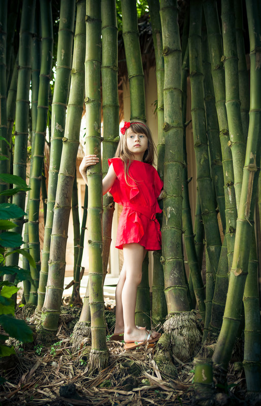 Bamboo - Victoria Bryfar