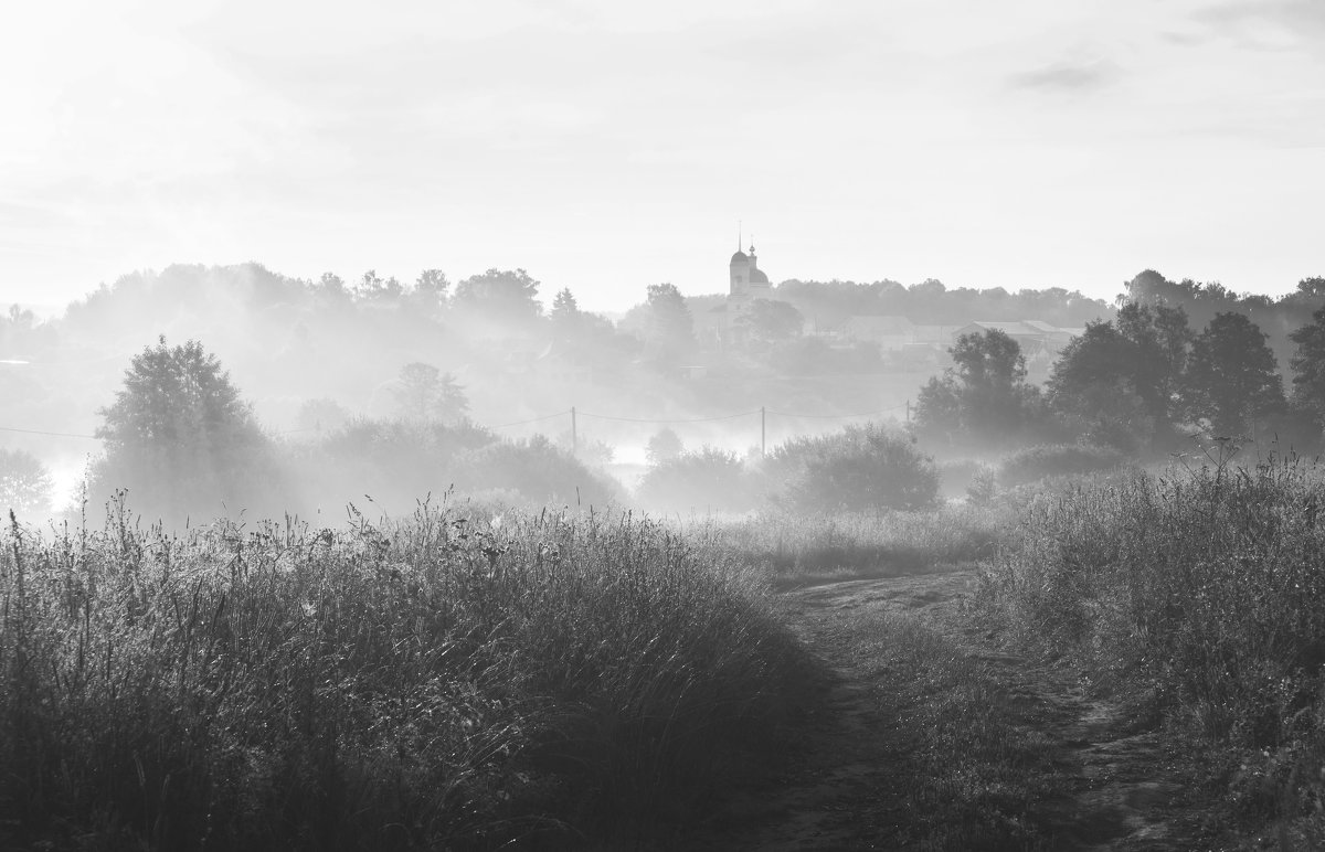 Раннее утро с туманом и низким солнцем - Михаил Онипенко