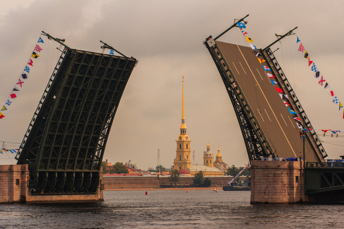 Дворцовый мост разведен - Олег Денисов