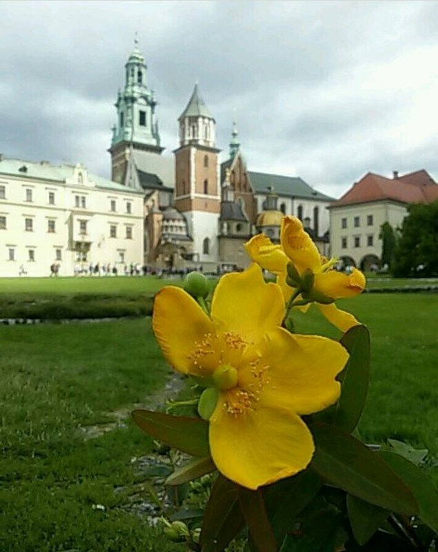 Замок Wawel в Кракове - Galina Belugina