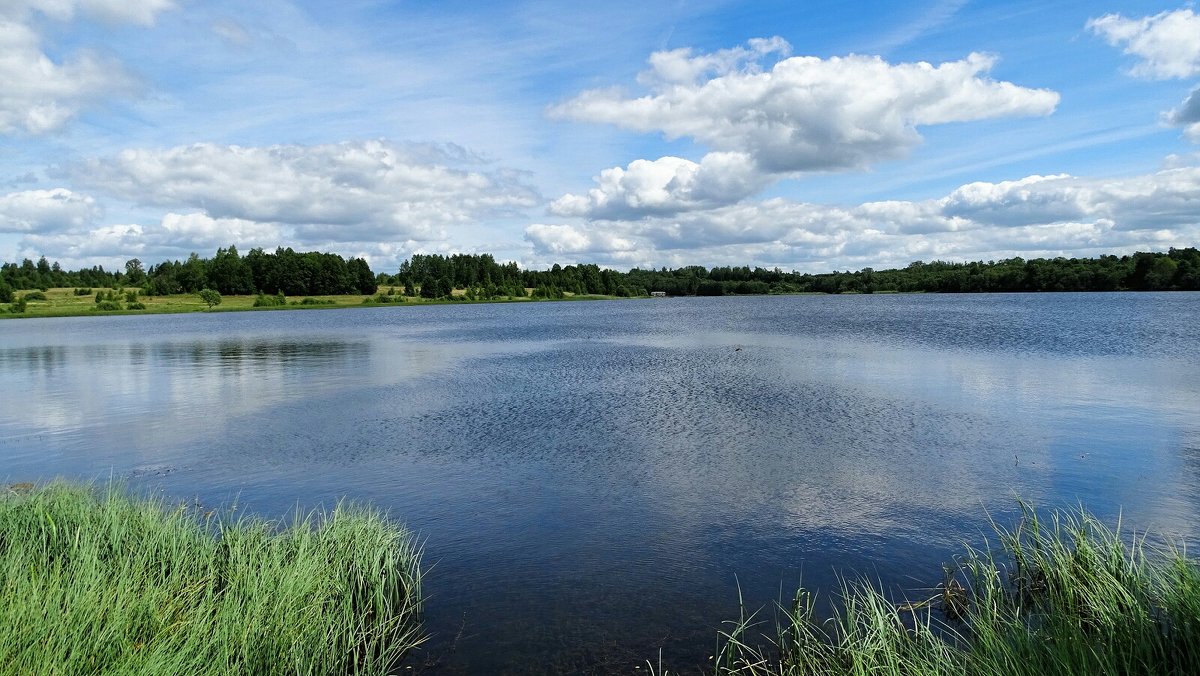 Озеро Купринское Смоленская область