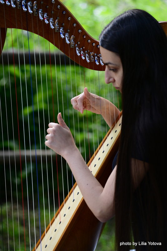 Harp - Лилия Йотова
