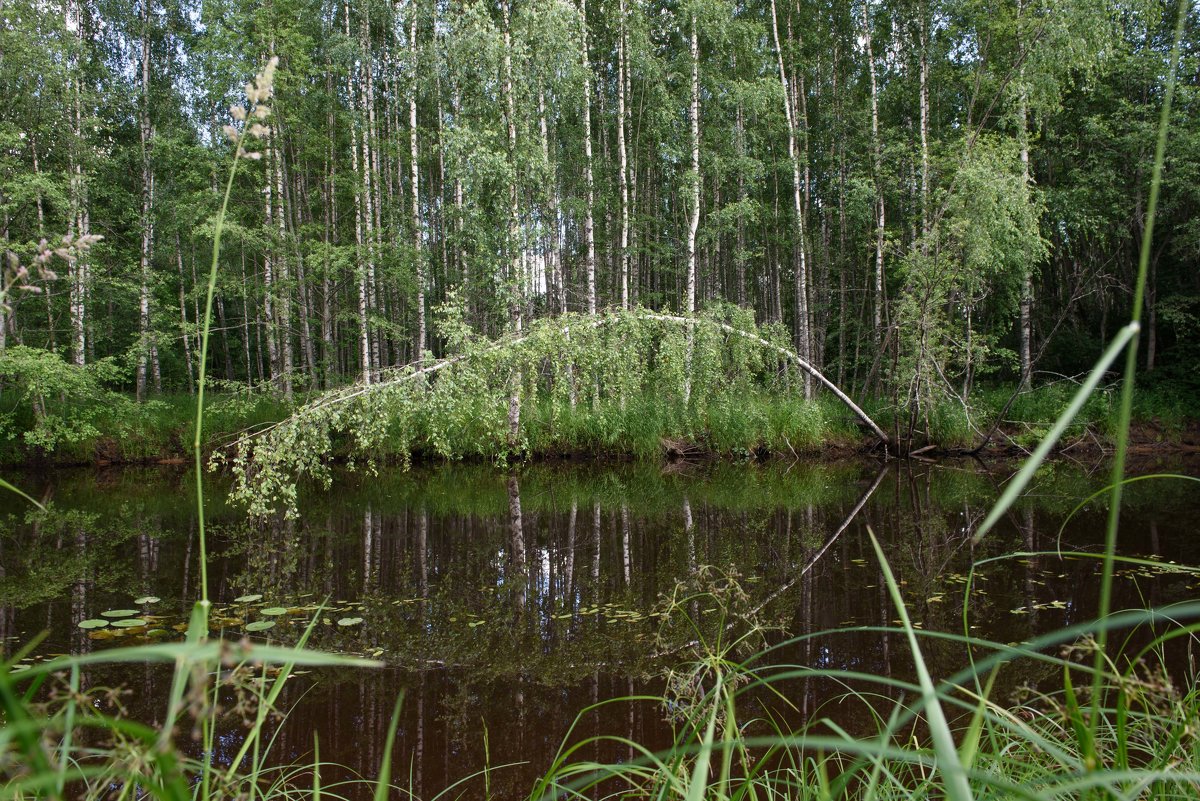 р. Кременка - Юрий Бутусов