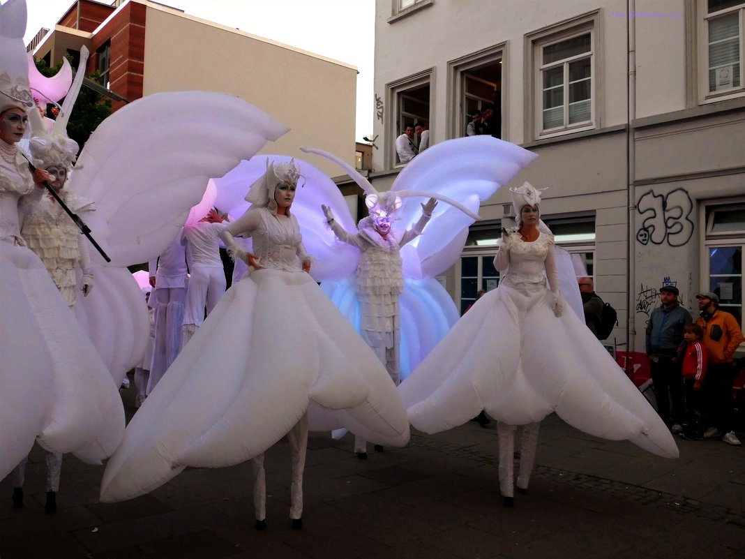 Weiße Parade Altona - Nina Yudicheva