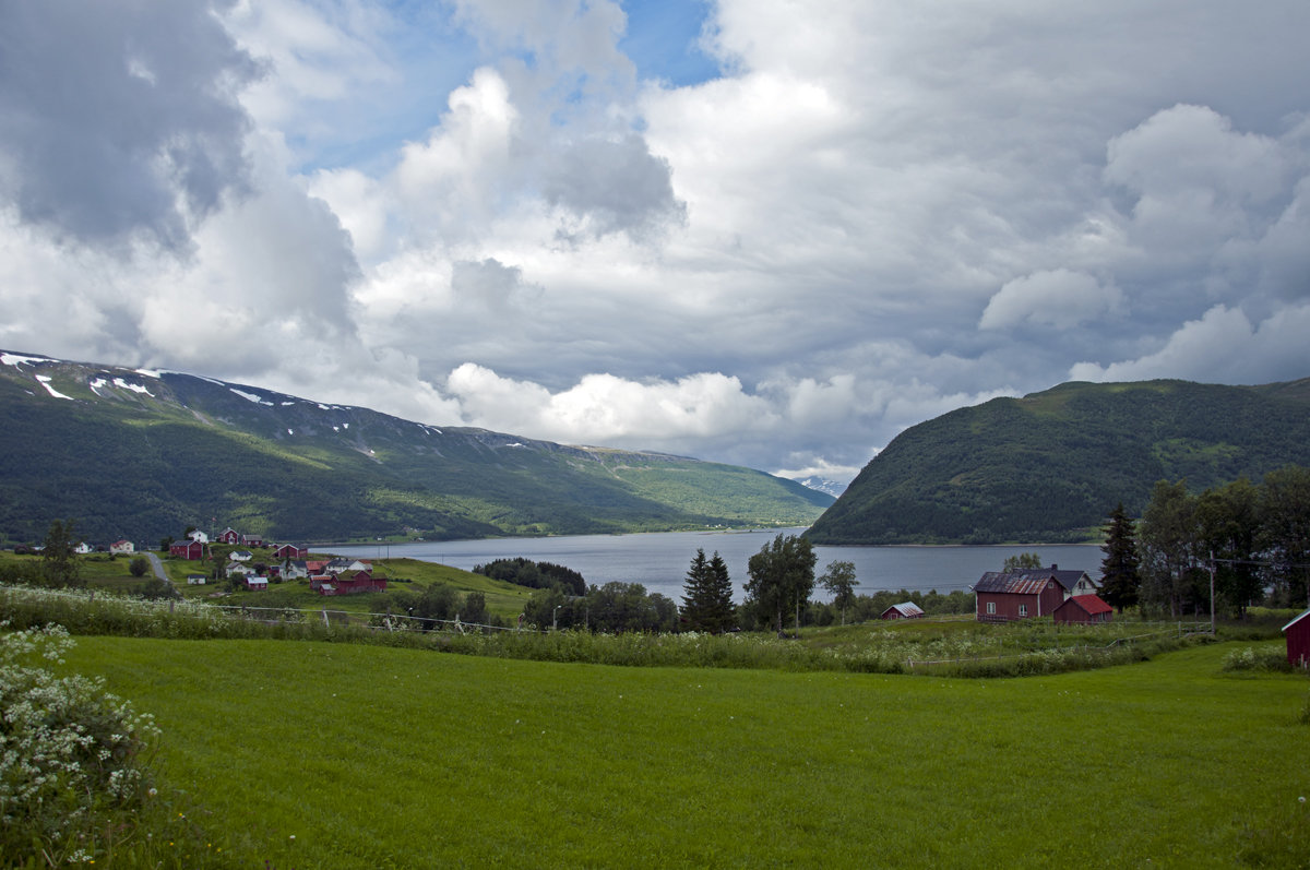 Nordland - Roman Ilnytskyi