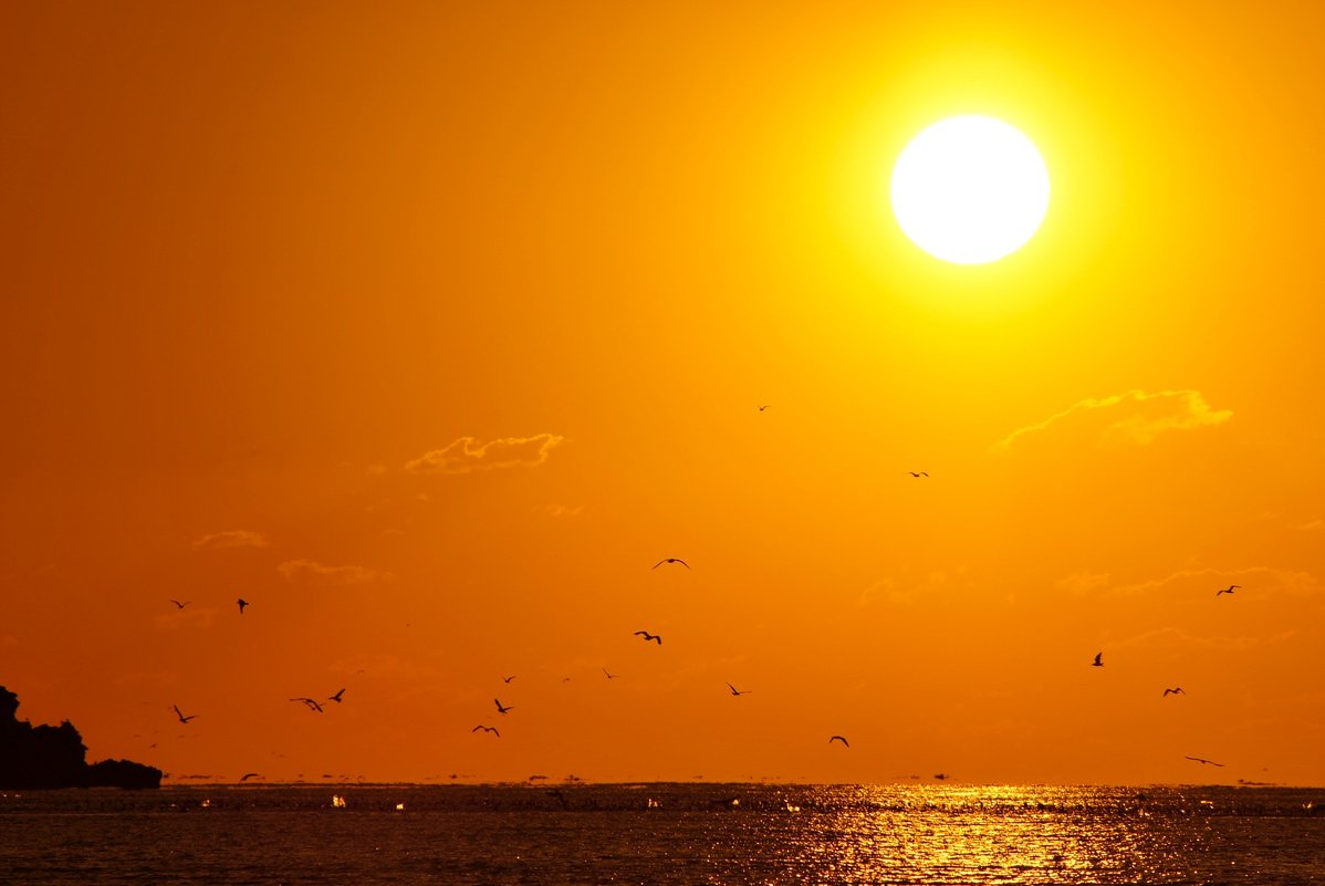 Солнце,море,чайки.... - владимир 