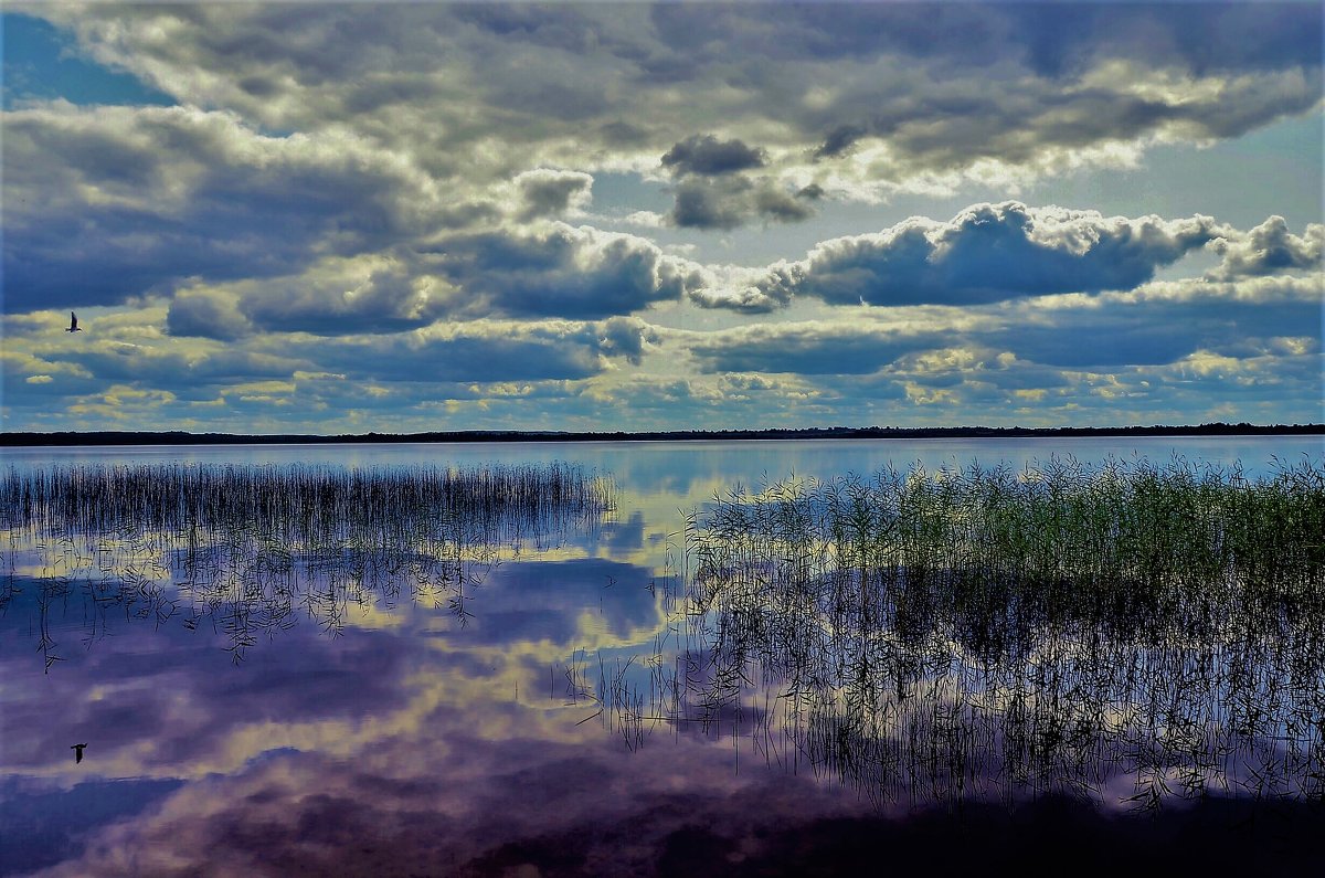 Сказка Мегленского озера... - Sergey Gordoff