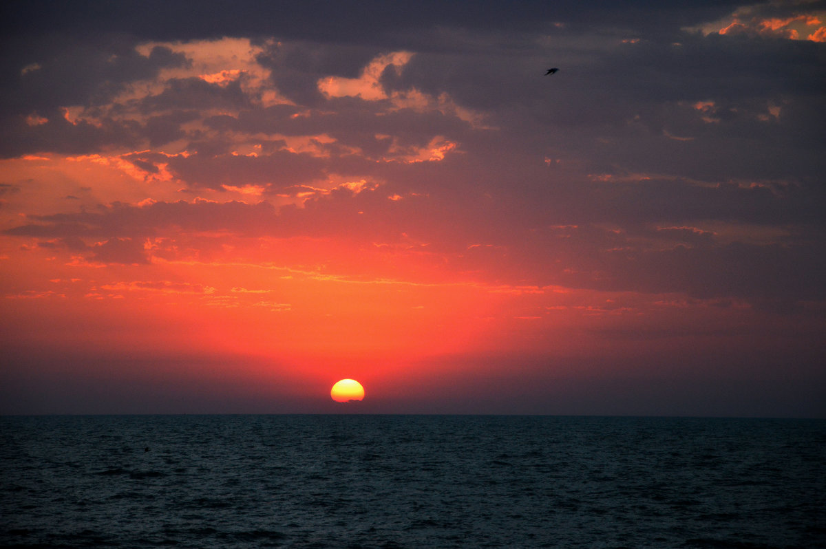 Sunrise on the Black Sea - Надежда Мельникова