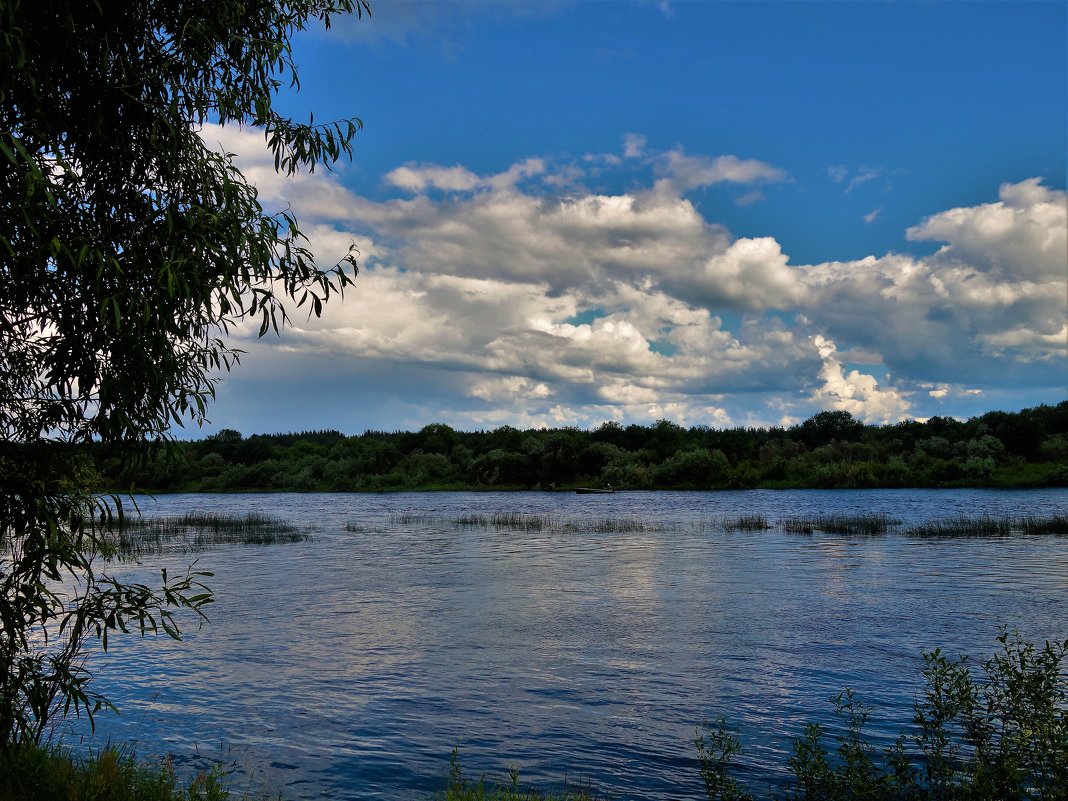 Летний день на Мологе реке... - Sergey Gordoff