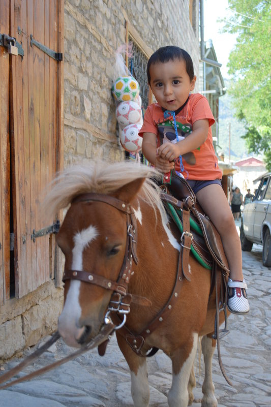 Езда на пони – лучший подарок для ребенка! - Mail Mamedov