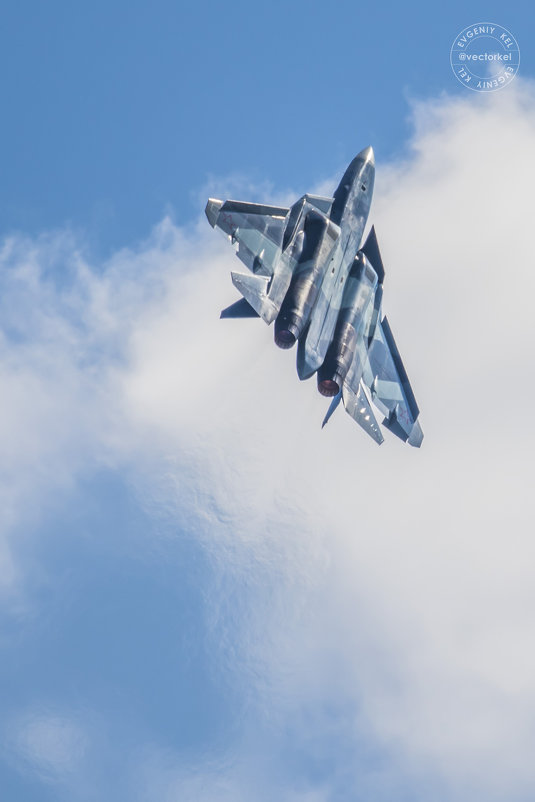 Су-57 в небе над парком " Патриот" - Евгений Кель