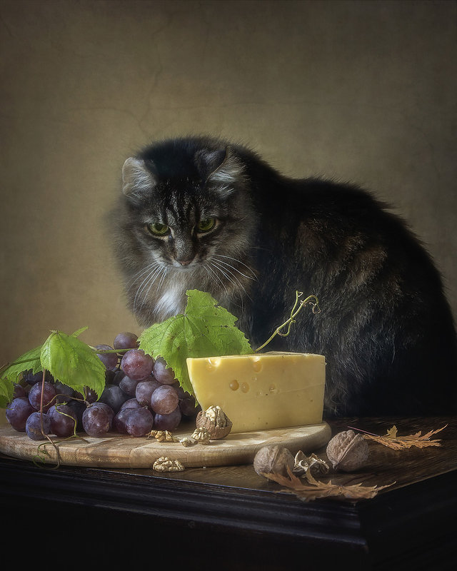 Котенку как-то бог послал кусочек сыра - Ирина Приходько