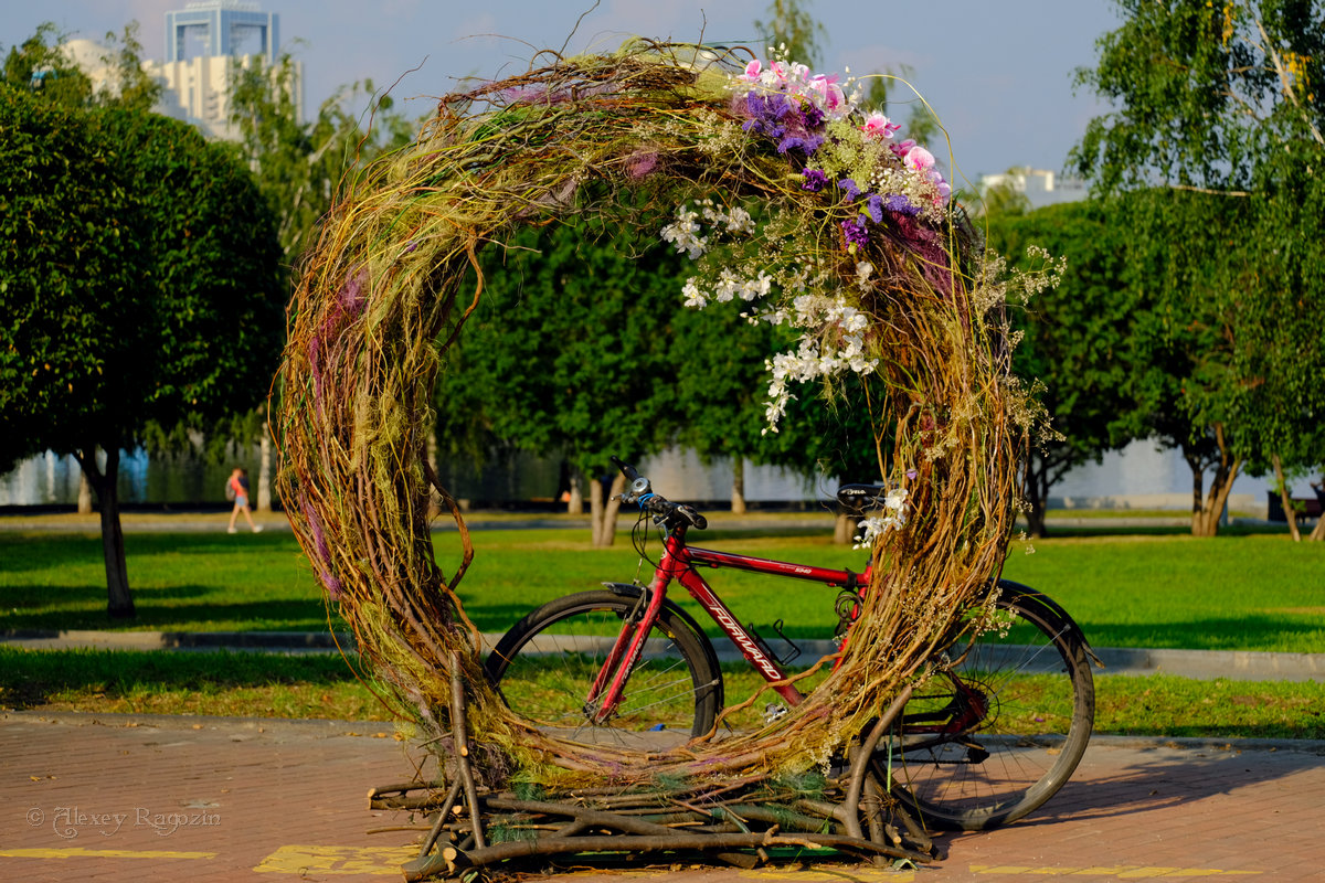 колесо из лета в осень - StudioRAK Ragozin Alexey