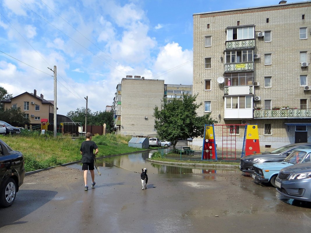 Передышка от жары - Татьяна Смоляниченко