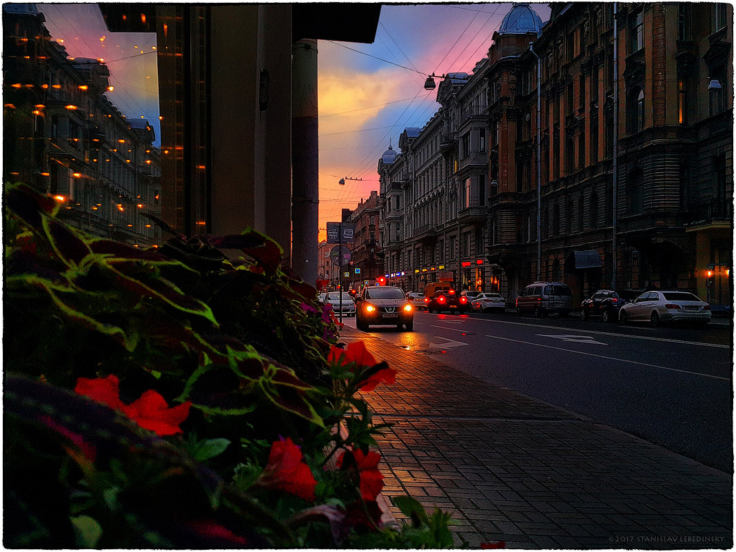 My magic Petersburg_02685 Вечер на ул. Некрасова - Станислав Лебединский