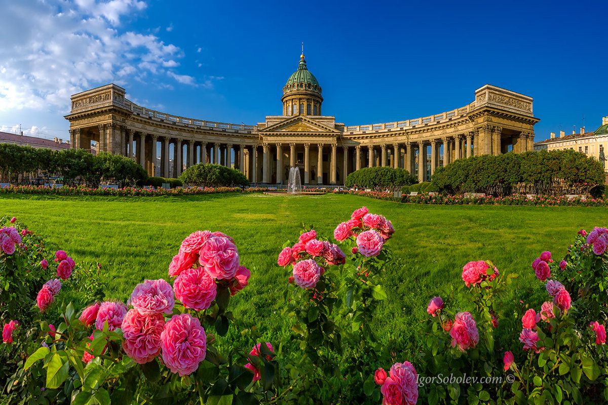 Розы у Казанского собора - Игорь Соболев