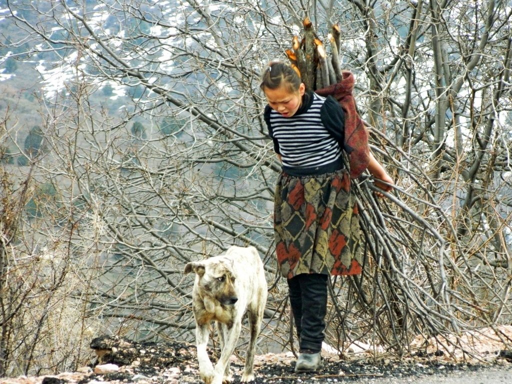 ВЕСНА В ГОРАХ. - Виктор Осипчук