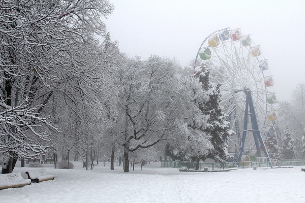 Парк в снегу - Анатолий Шулков