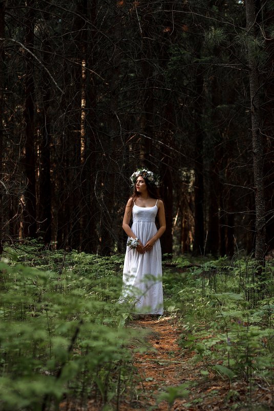 В мистическом лесу - Наталья Колокольцова