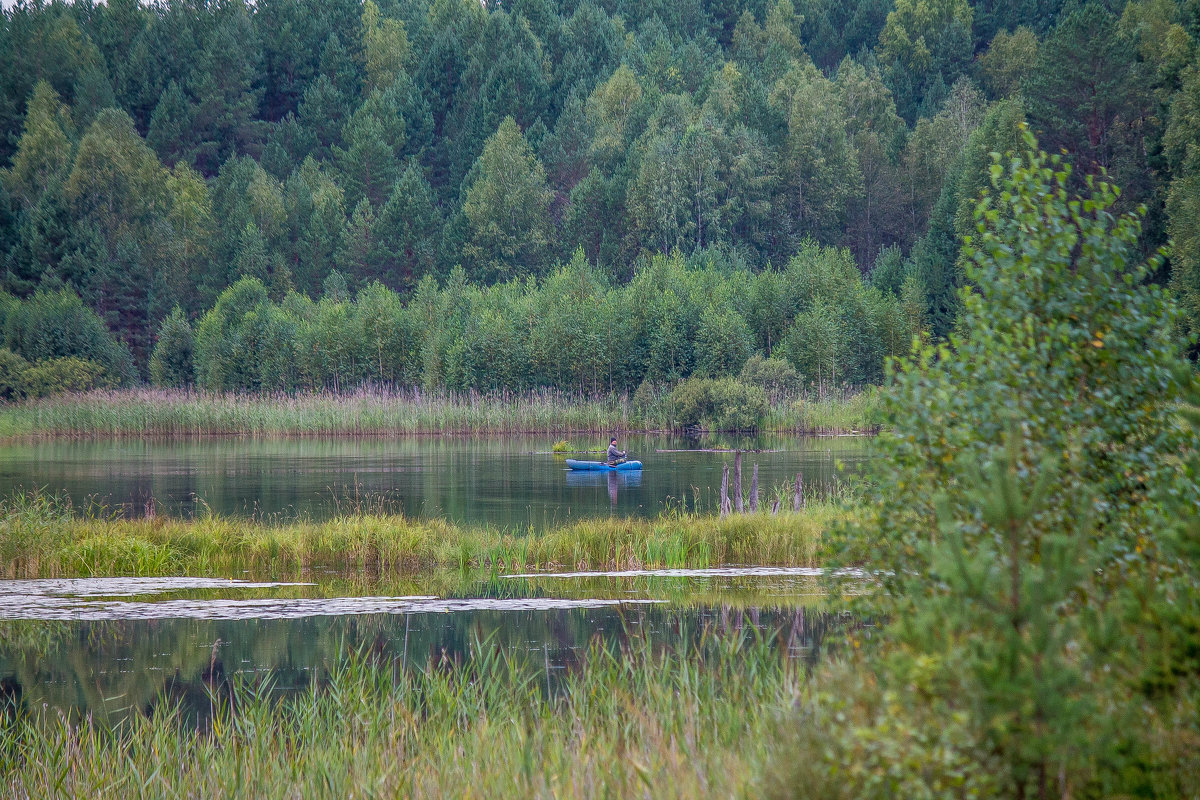 Озеро Травное Сосновский район