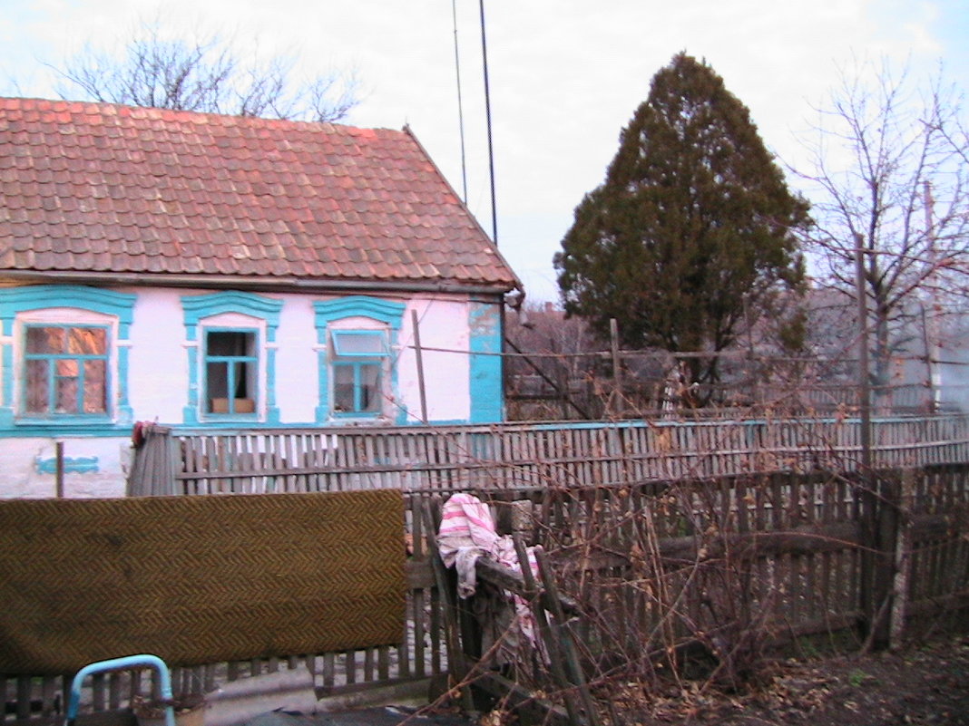 Домик в селе - Svetlana Lyaxovich