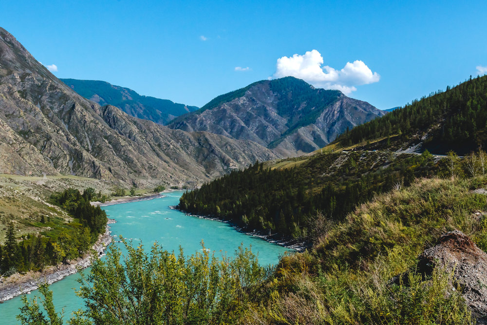 Горный Алтай Лазурная Катунь