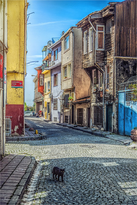Непарадный Стамбул. Улочки старого города - Ирина Лепнёва