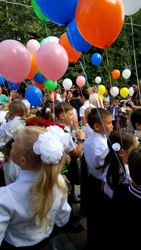 День знаний в 9 школе города Сочи - Антонина Владимировна Завальнюк