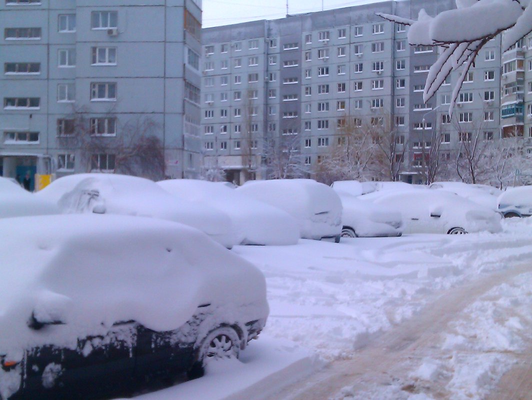 Снежный март 2014 - Андрей Страхов