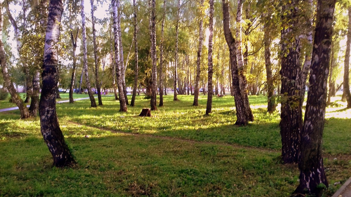 В солнечный осенний день .Серия . - Мила Бовкун